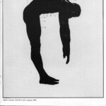 White Columns, “Tyler Turkle (Plastic History photo), brochure