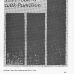 New Observations #28, “What is Black and Blue…”