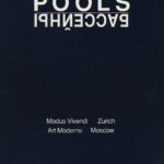 “Pools”, Zurich and Moscow, curated by Nancy Jones, catalog “Pools”, Zurich and Moscow, curated by Nancy Jones, catalog