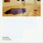 “Pools”, Zurich and Moscow, curated by Nancy Jones, catalog “Pools”, Zurich and Moscow, curated by Nancy Jones, catalog