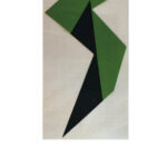 41st Biennial, Corcoran, catalog