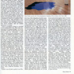 TEMA CELESTE Art Review #24, “The Last Criterion”