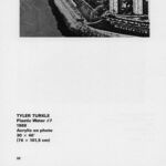 “Buena Vista”, Collins & Milazzo, John Gibson Gallery, catalog “Buena Vista”, Collins & Milazzo, John Gibson Gallery, catalog