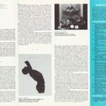 “Three From Tallahassee”, trifold