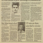 USF ORACLE, “Turkle Explores…”, “Plastic Criteria” , USF show