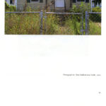 2012 Oyster Boy Review 20th Anniversary exhibition