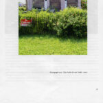 2012 Oyster Boy Review 20th Anniversary exhibition