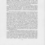 "Plastic Paradigm", "99" Turn of the Century Magazine, Volume 1, Number 2, Fall 1994