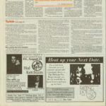 "Local Artist shows off life's 'Plastometry'...", FLORIDA FLAMBEAU, Vol. 81, No. 1, Aug. 21, 1995