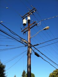 Wires and Poles with Still Life